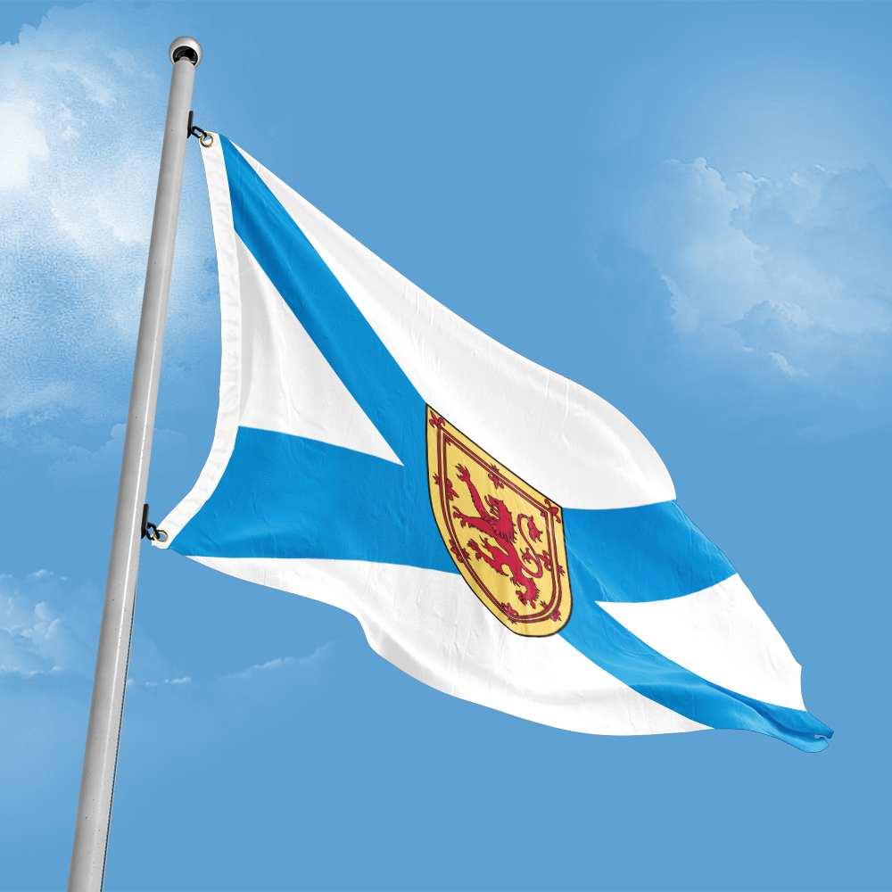 Canada Flag of Nova Scotia 3ft - Nova Decor & Lighting Vase recensione e prezzo