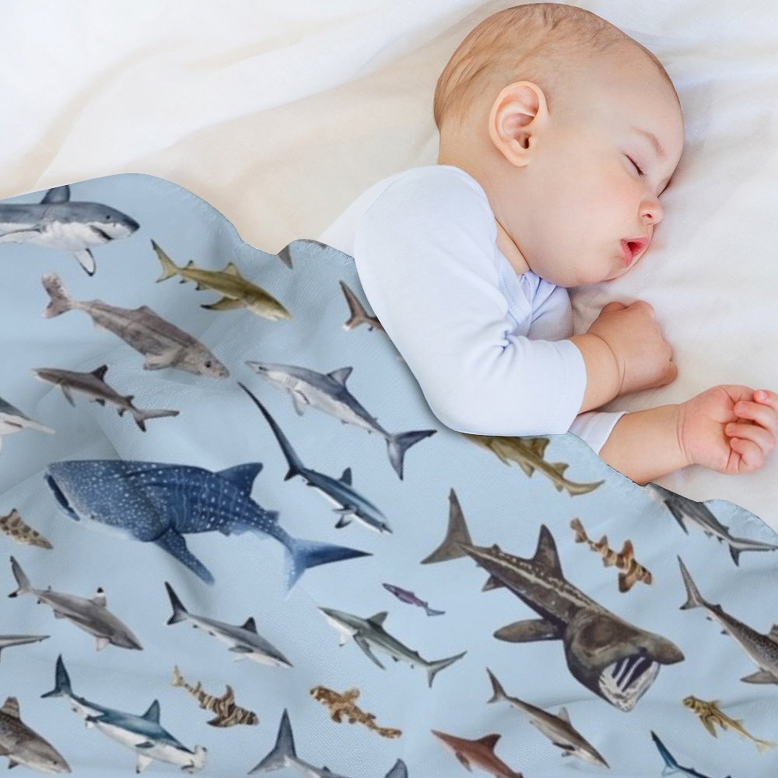 Coperta SHARKS azzurra per div - Lighting Decoration Ideas For Home recensione e prezzo