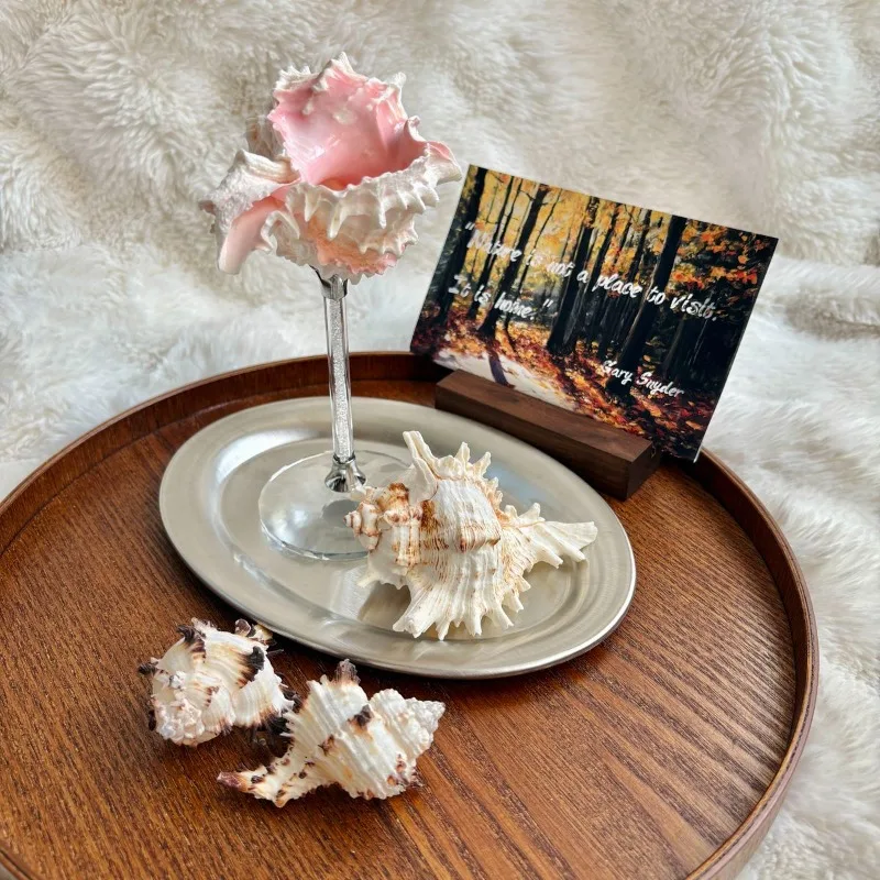 Calici da Champagne a Forma di - Lighting Decoration Ideas For Home recensione e prezzo